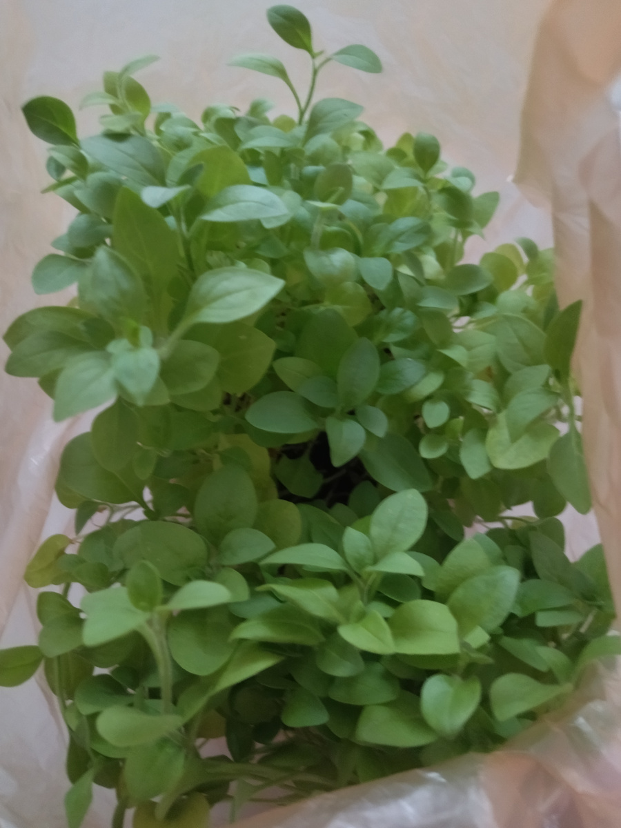 Фото автора "Как хорошо, когда есть родственники и могут просто так поделиться" 😀