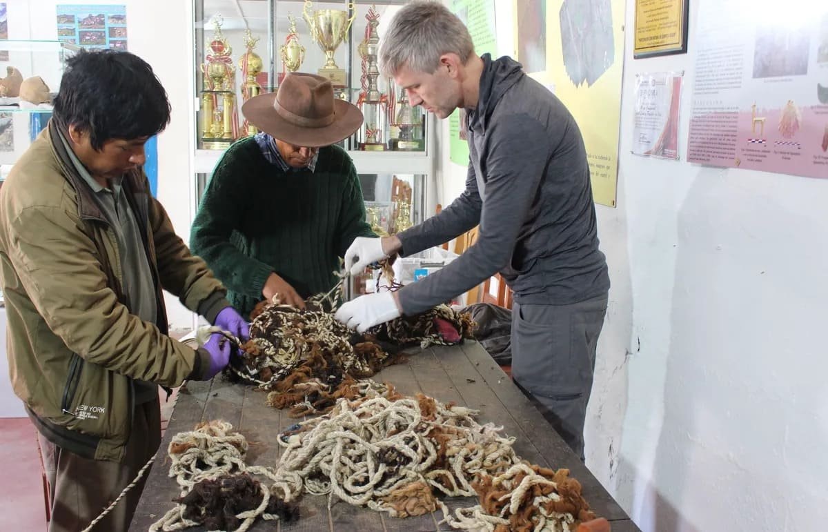    Осмотр найденного в Перу образца древней письменности инков