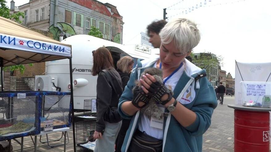    Источник фото: