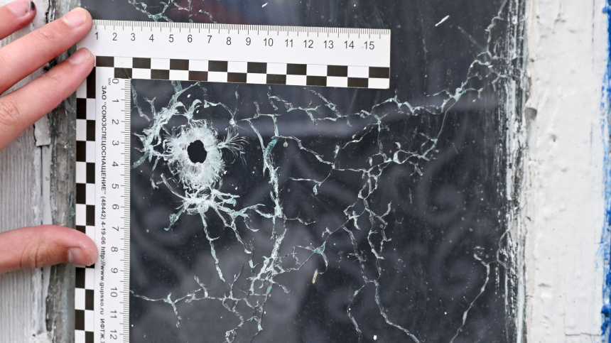    Фото: © РИА Новости/Константин Михальчевский