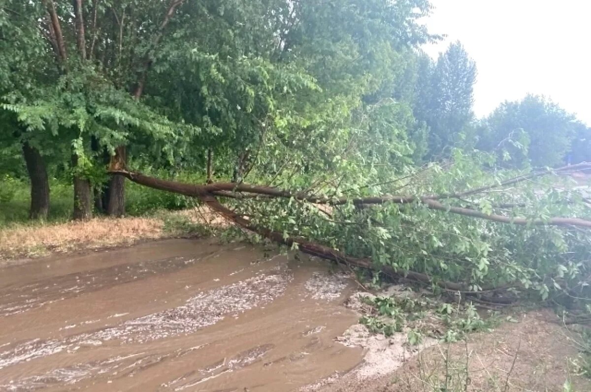    Град размером с вишню и размытые дороги – волгоградцы делятся фото и видео