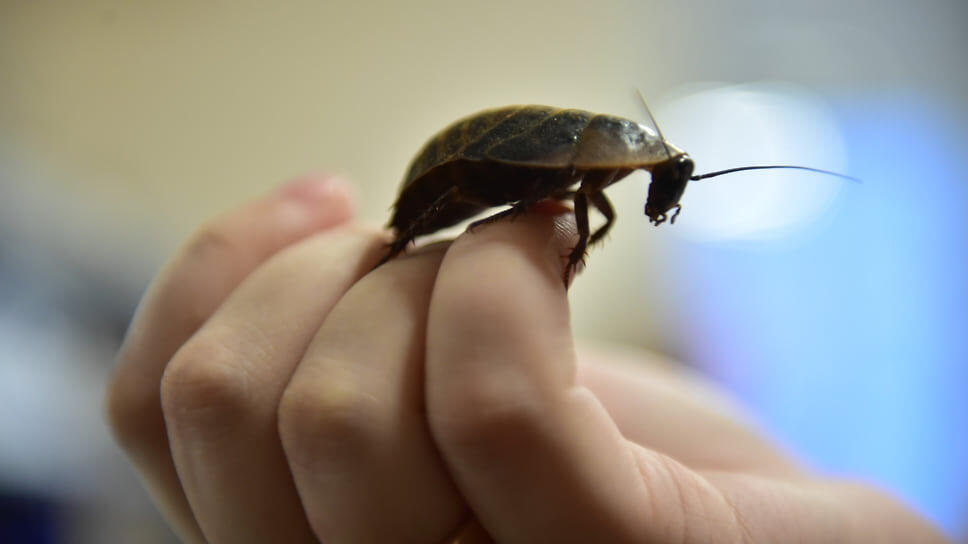 Фото: Влад Некрасов / Коммерсантъ