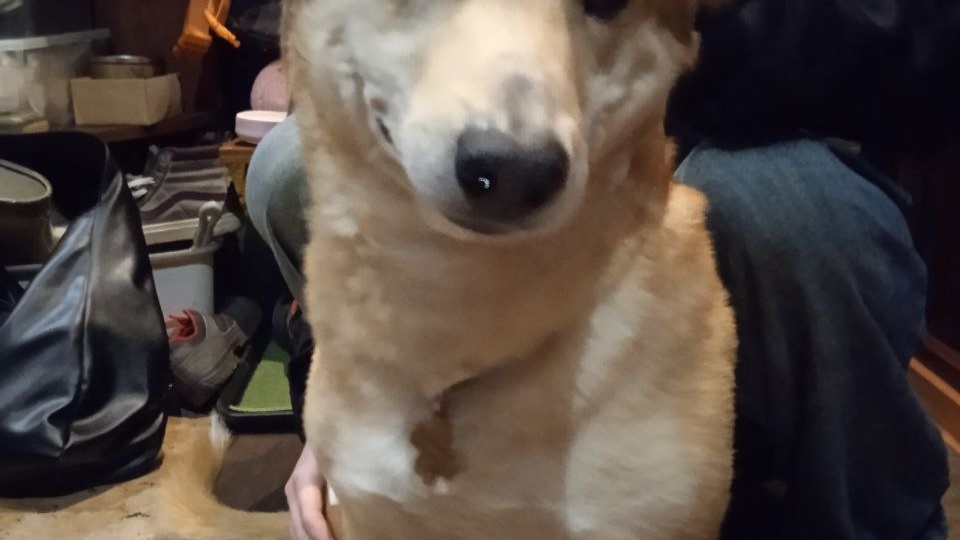 Любимая рубрика - привет из дома!