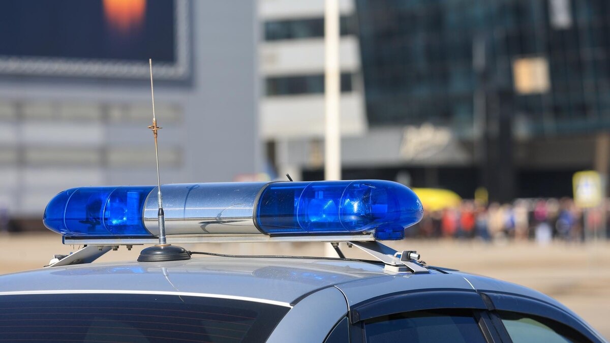    Фото: Shatokhina Natalia/news.ru