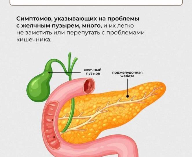 Особенности питания, когда "барахлит" желчный