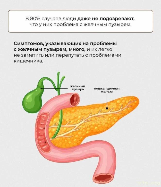 фото источник v7u.org
