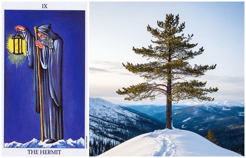 Отшельник (Таро А.Уэйта)                