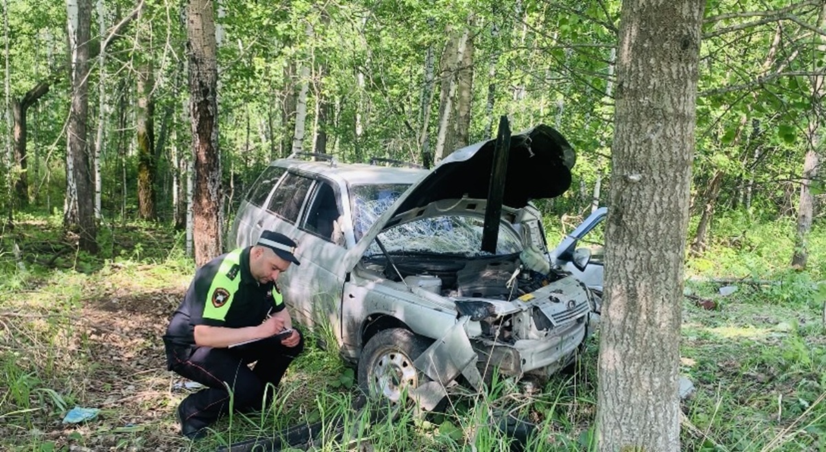 Фото: Госавтоинспекция Свердловской области  📷
