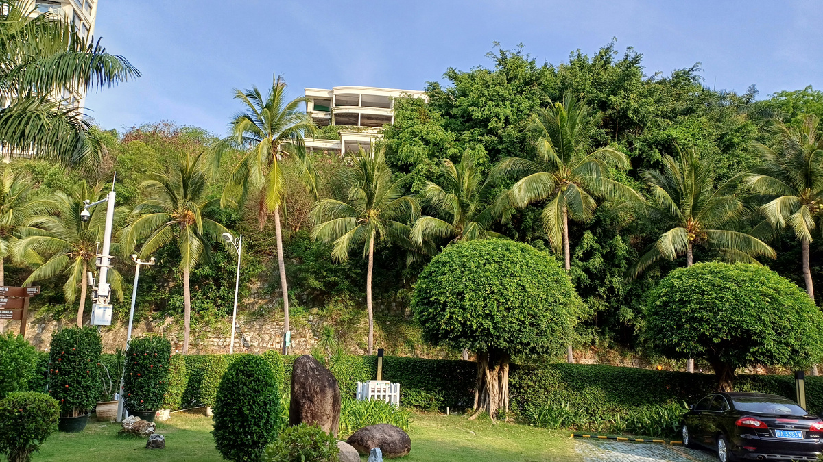 Вид из номера на 1м этаже.