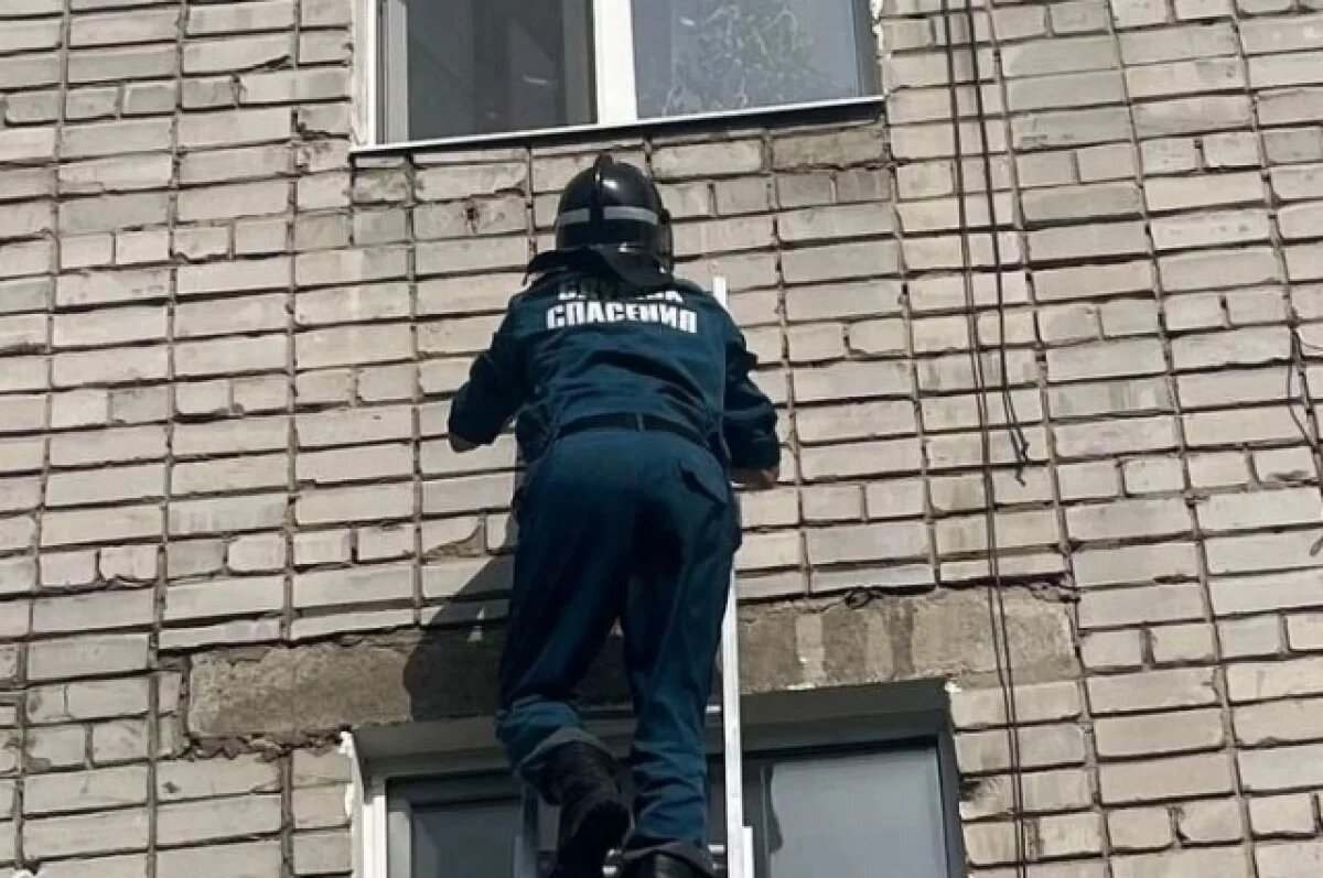    Ульяновские спасатели помогли женщине попасть домой к ребёнку