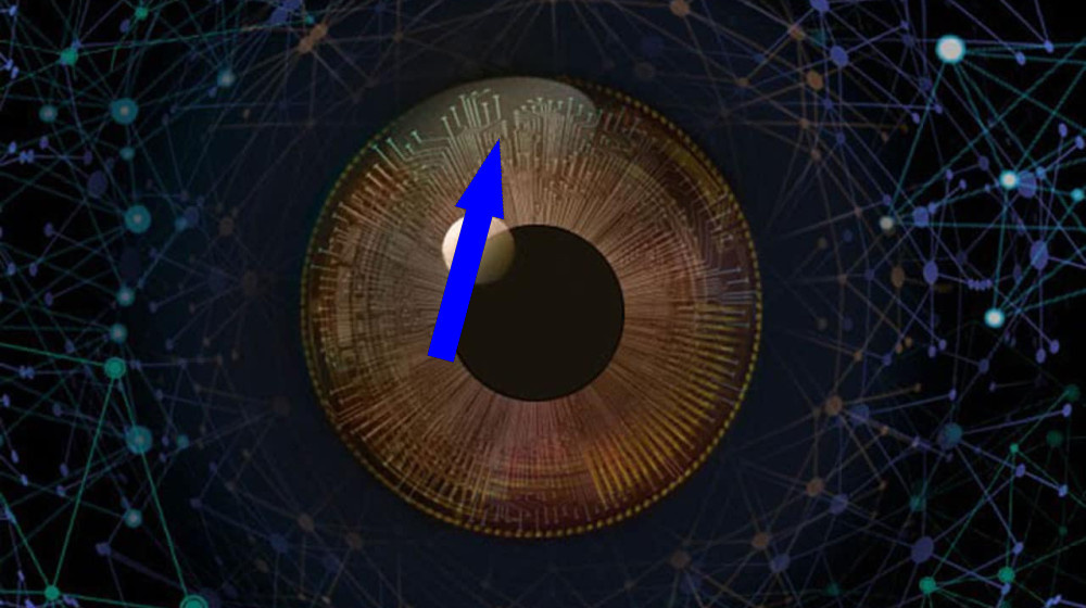    Ваша жизнь уже предопределена квантовыми алгоритмами