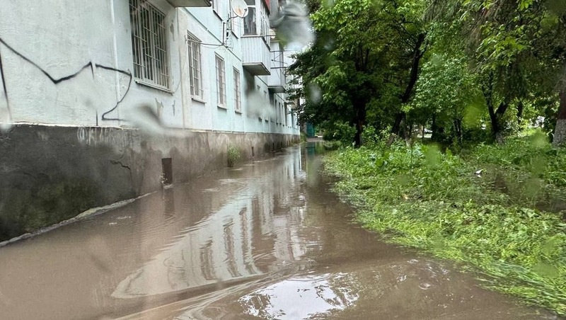      Фото: администрация Ессентуков