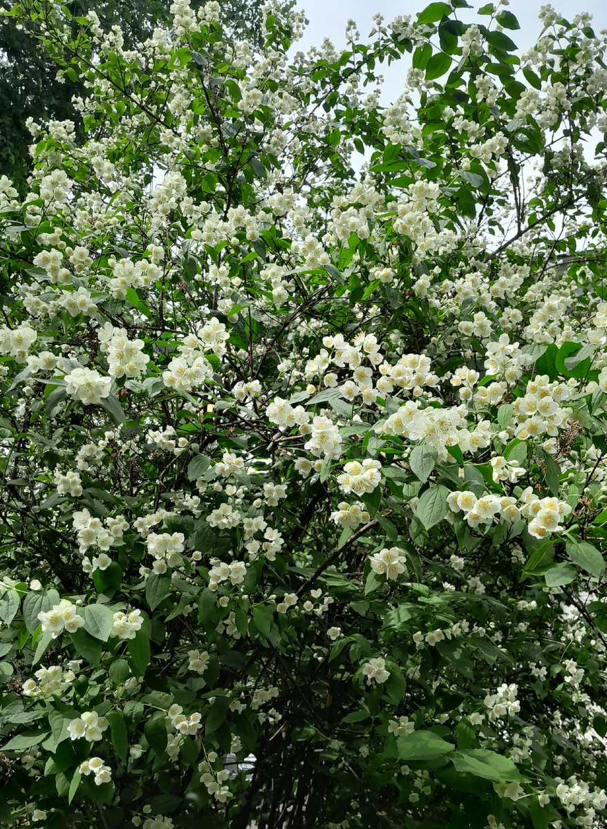 Из личного архива