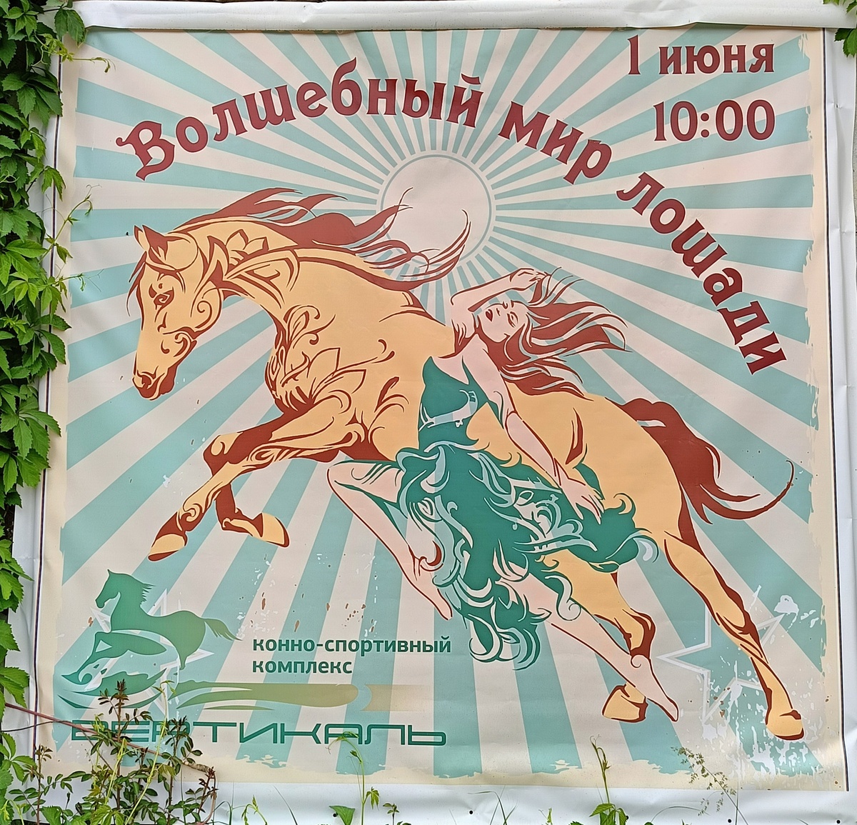 Фото автора.