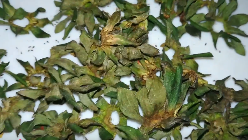 Заморозка запускает процесс ферментации - аромат усиливается в разы