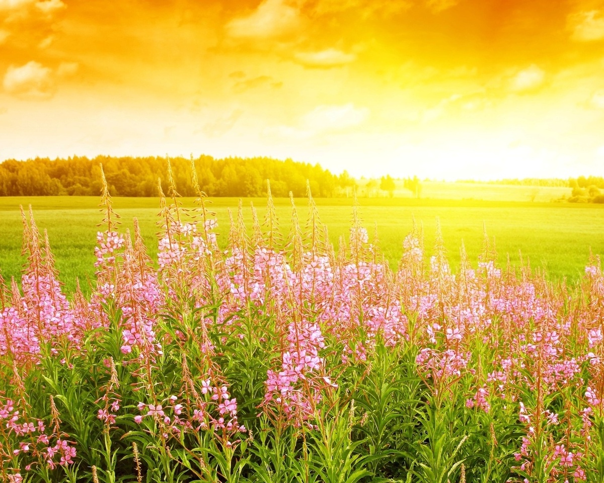    //Фото с сайта playcast.ru