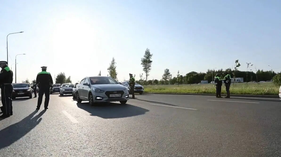    Фото: кадр видео ГУ МВД по Петербургу и Ленобласти