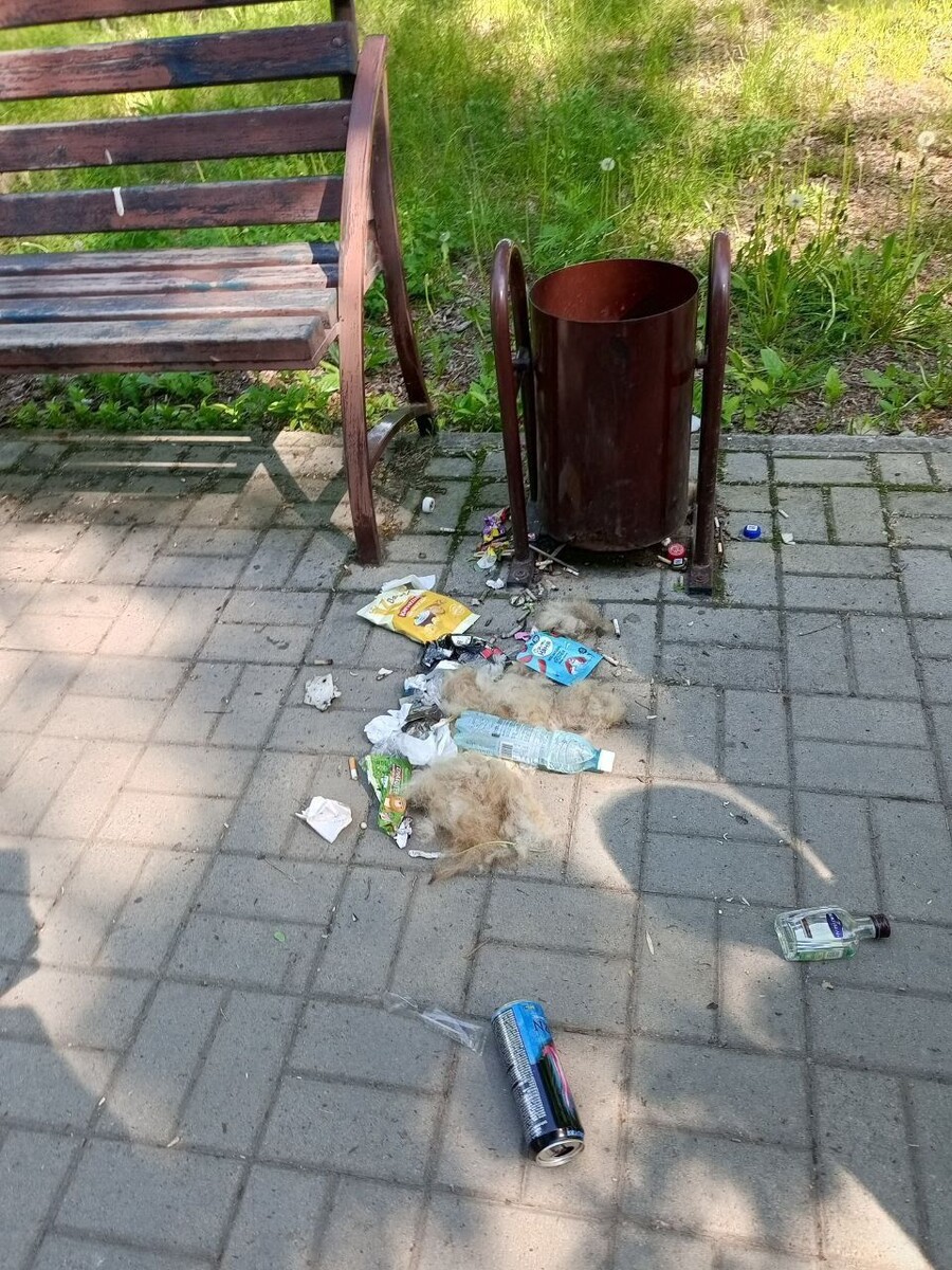    Погром в сквере Вали Максимовой. Источник: t.me/bskgram