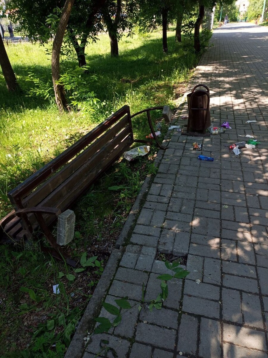    Погром в сквере Вали Максимовой. Источник: t.me/bskgram