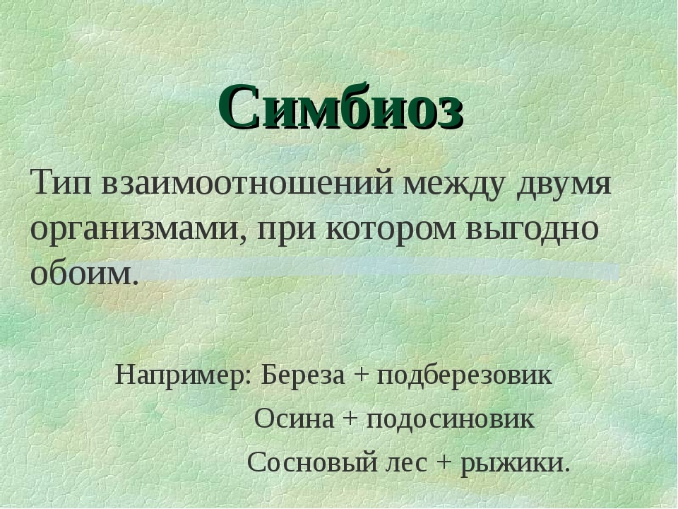 Симбиоз в ростительном мире