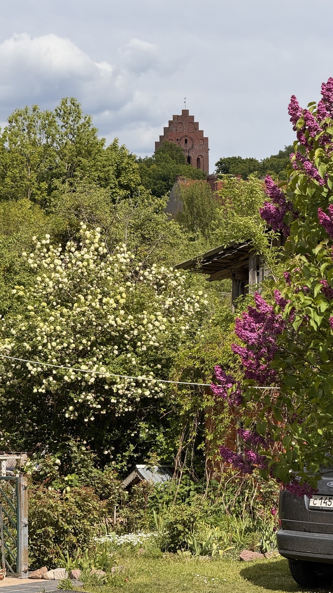 Кирха Домнау стоит на одном из холмов, ее видно практически из любой точки поселка
