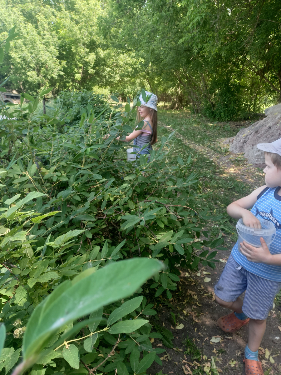 Фото автора 