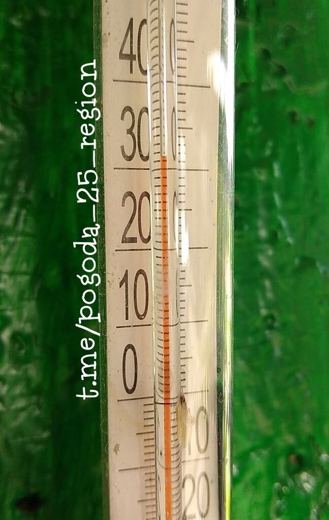     Источник: pogoda_25_region