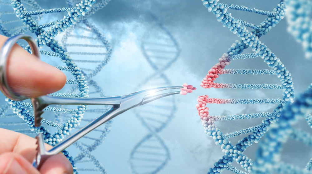    Клонирование человека уже реальность или этическая катастрофа