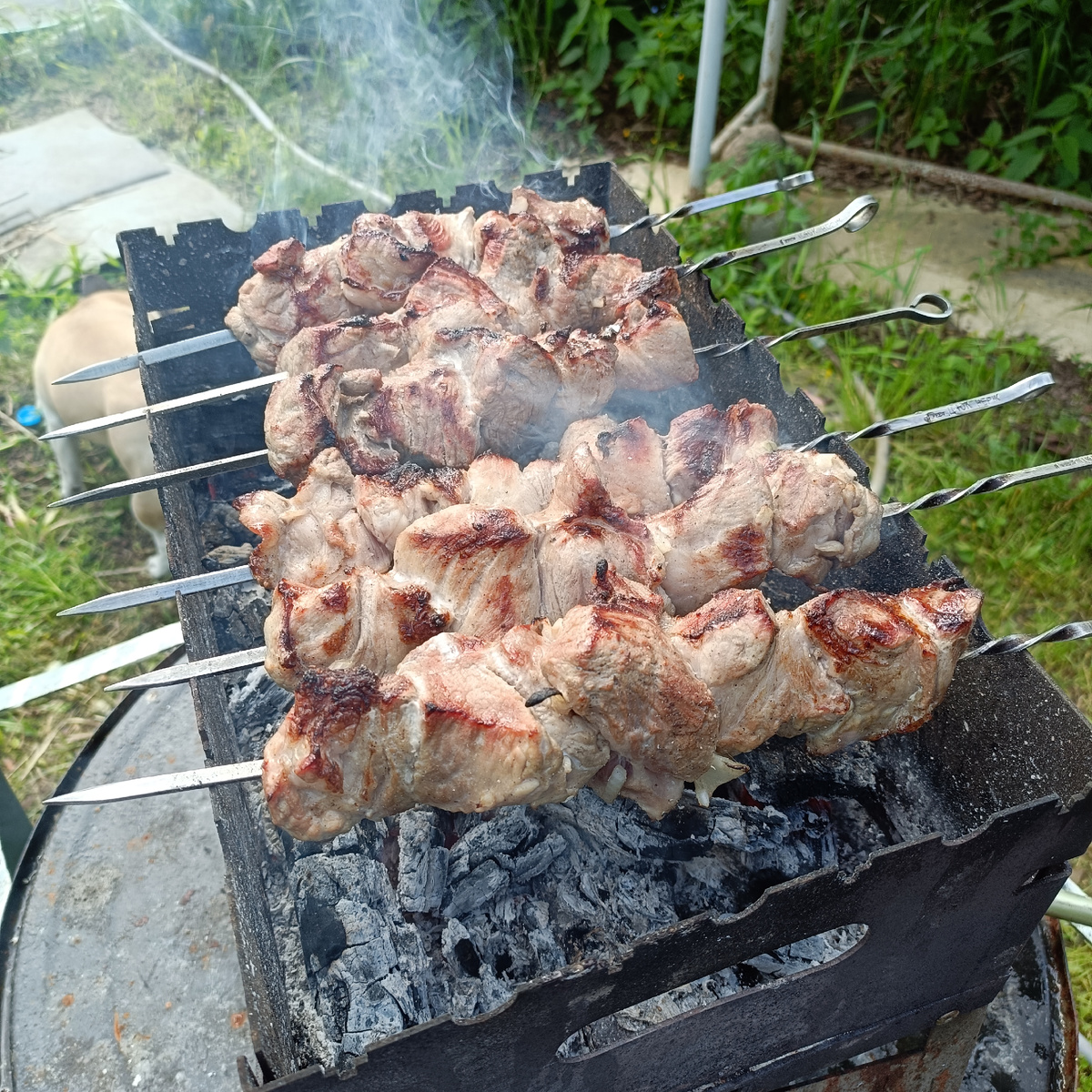 Выполненная программа