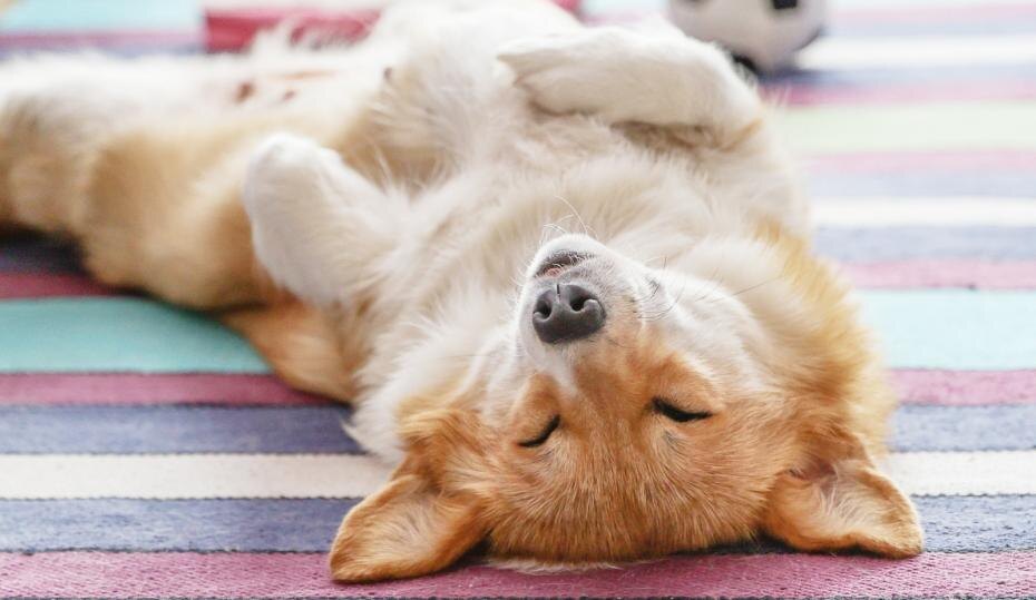    Сергей Булкин/NEWS.ru