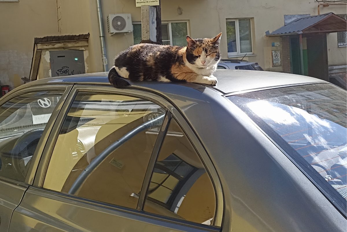    В 90% случаев причиной повреждения ЛКП становится неправильный уход