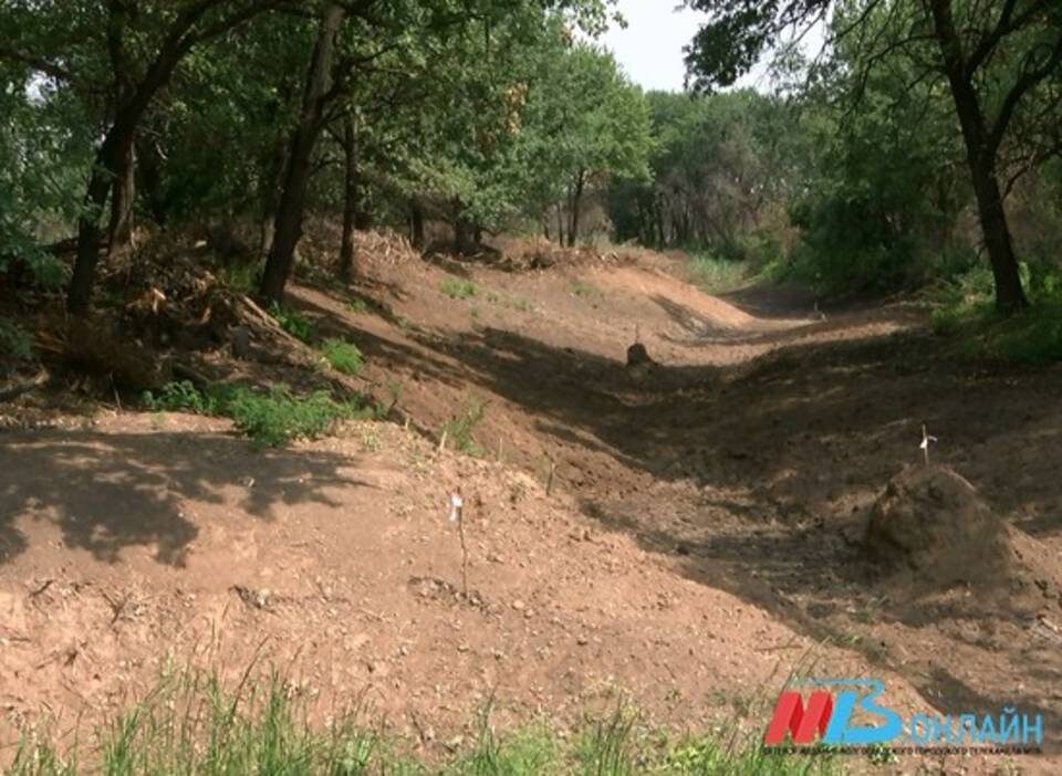    Фото: МТВ.ОНЛАЙН / архив