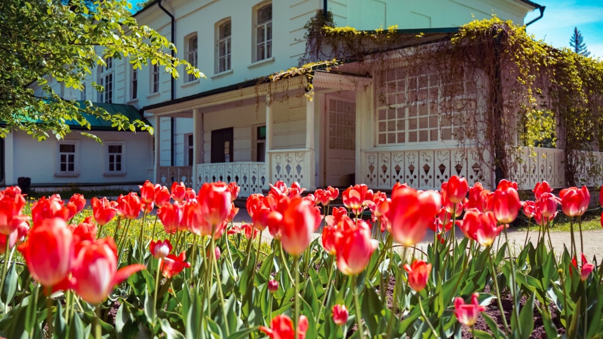 Светлана Мулыкина📷

