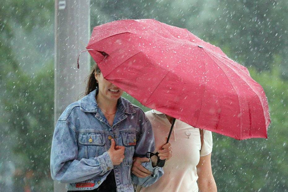    Алексей Белкин/NEWS.ru