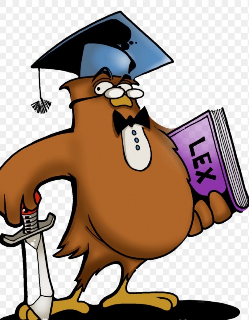 Что такое крупная сделка в ООО и можно ли ее оспорить. 