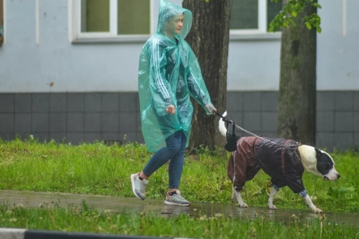    Выходя на улицу, следует прихватить зонт или дождевик.