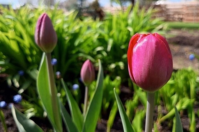    Июнь в Красноярском крае будет теплым. Фото: АиФ/ Евгения Гаева