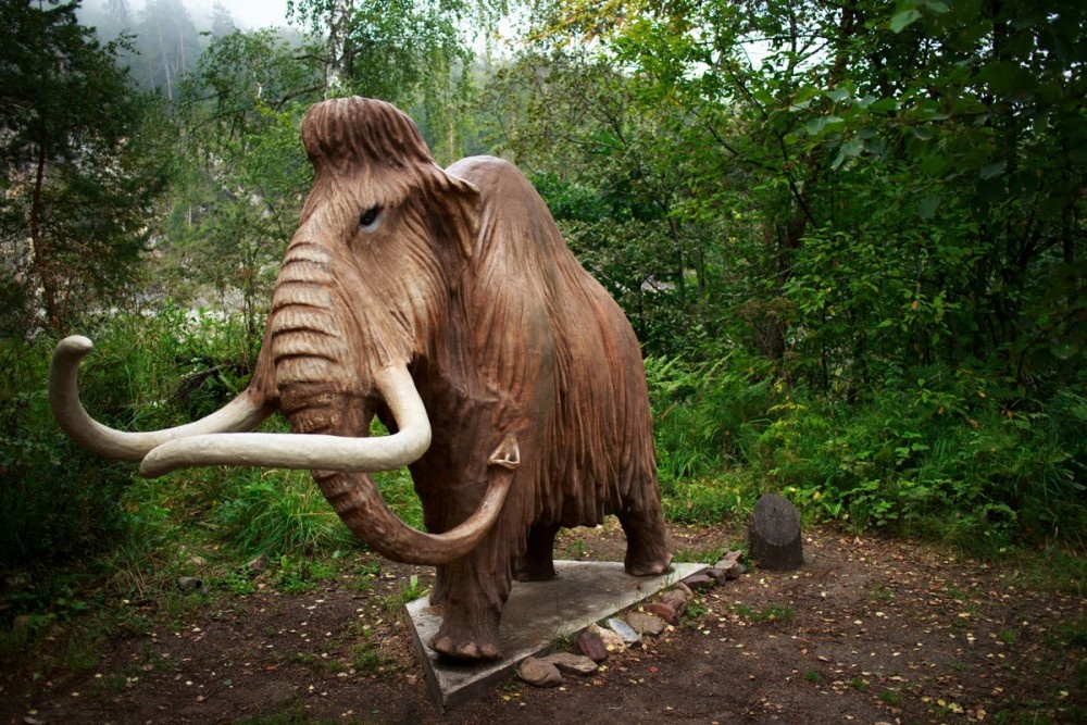 Фото: официальный сайт заповедника https://shulgan-tash.ru/