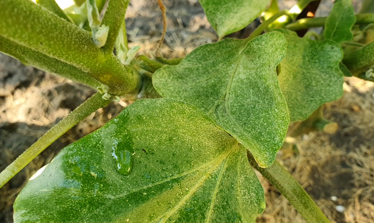 Фото из личного архива