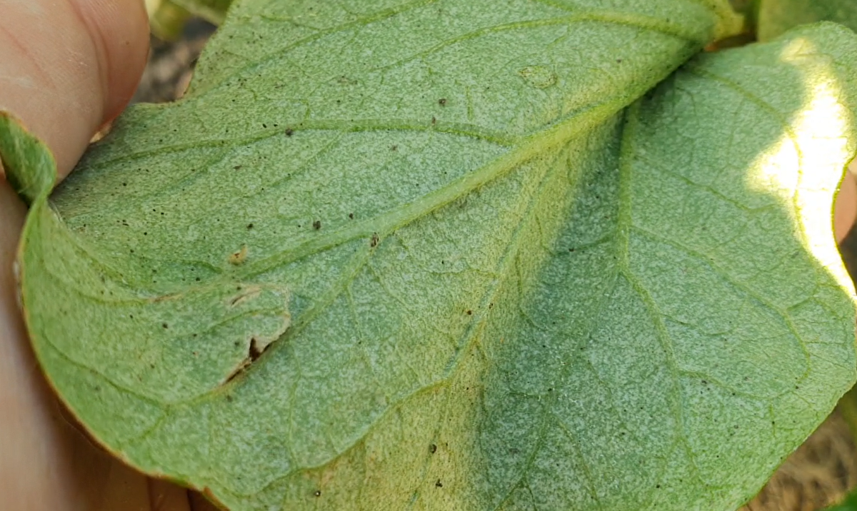 Фото из личного архива