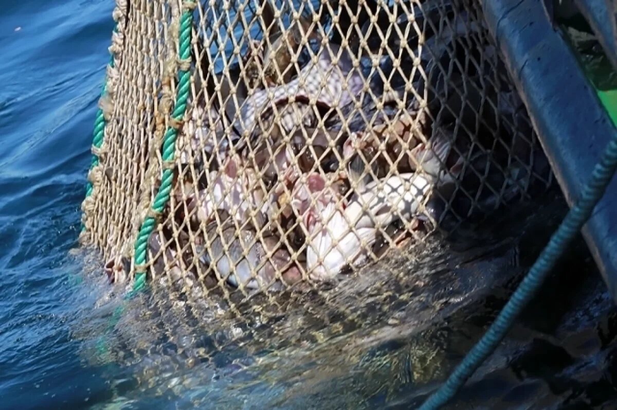    В Удмуртии осудят двух мужчин за ловлю рыбы в нерестовый период