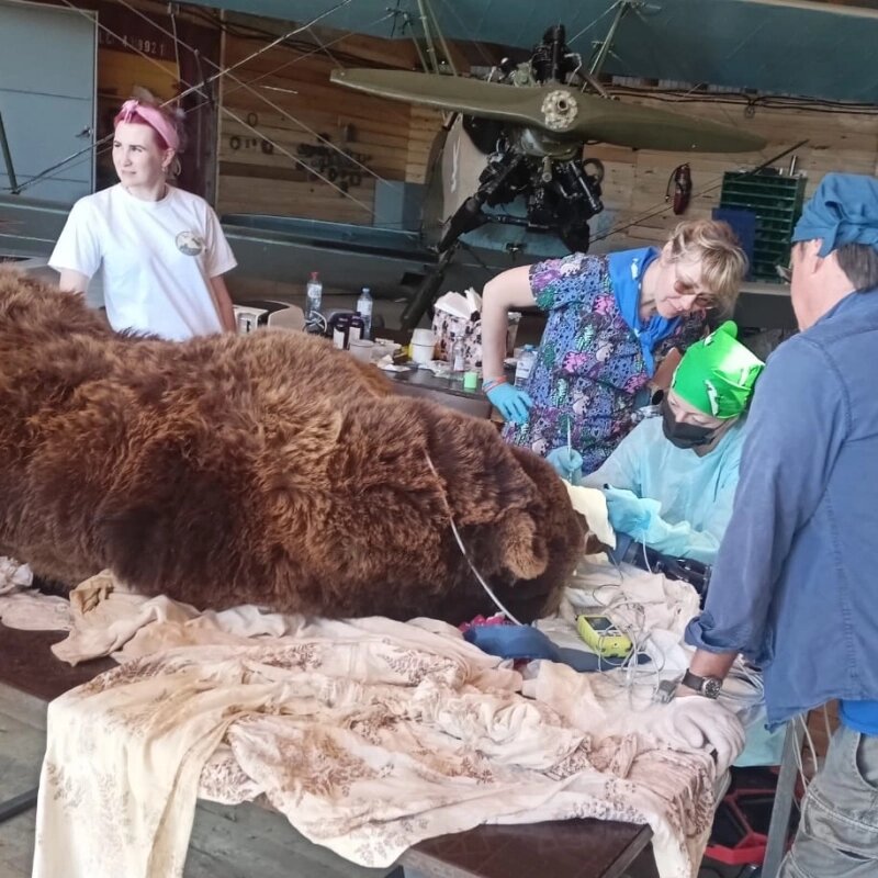    Фото: АиФ-Калуга/ Олег Цапенко