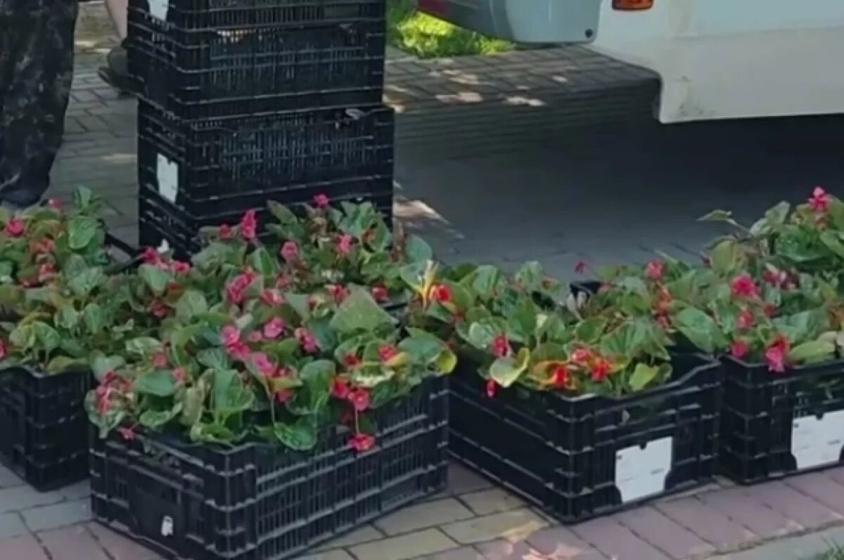    В Томске высадят 9,5 тысяч квадратных метров цветов в клумбы