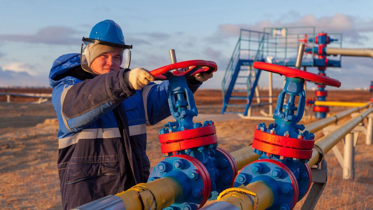    Фото: evgenii mitroshin/Shutterstock/Fotodom