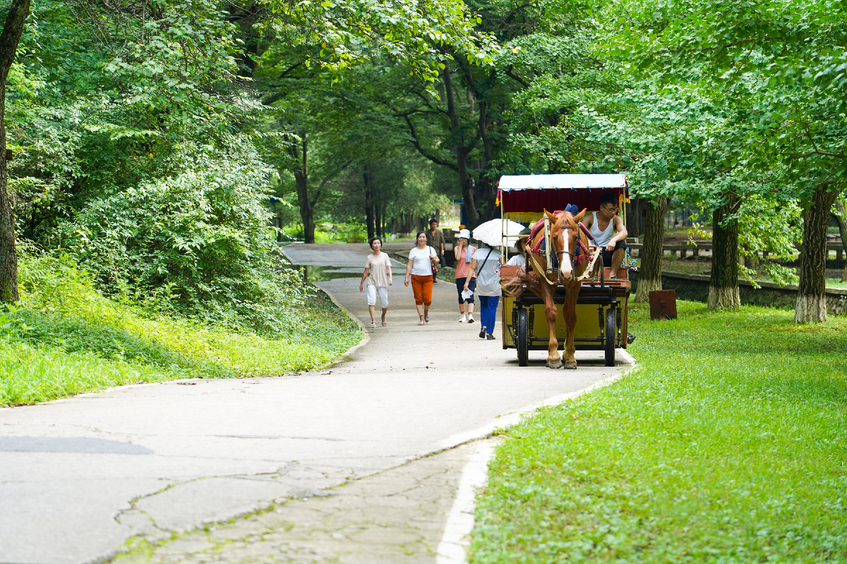 фото Проект Пхеньян