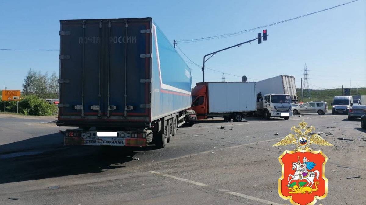    Фото: Пресс-служба ГУ МВД России по Московской области / Telegram