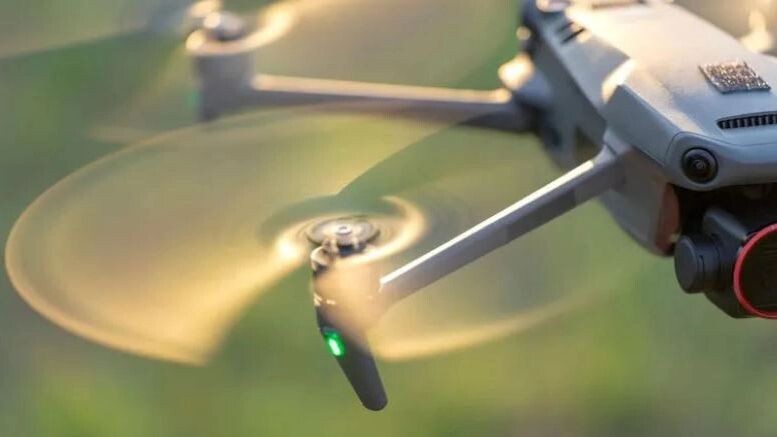    Фото: Bilanol/Shutterstock/Fotodom