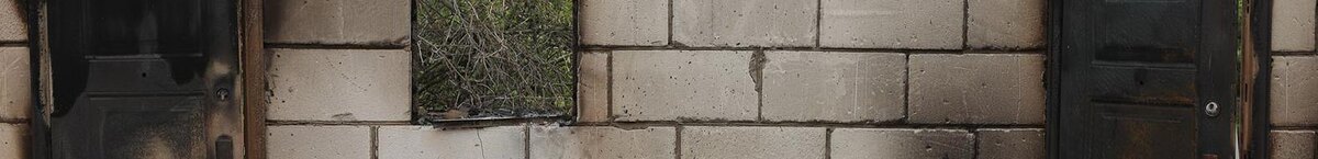    Фото: Антон Вергун