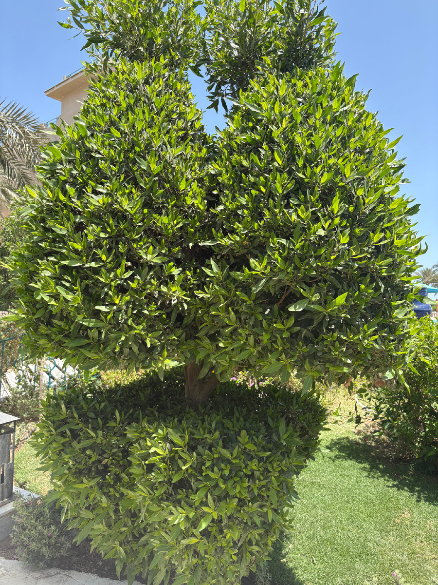 Фото из личного архива