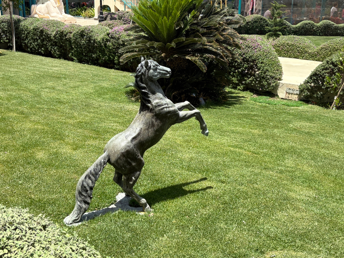 Фото из личного архива